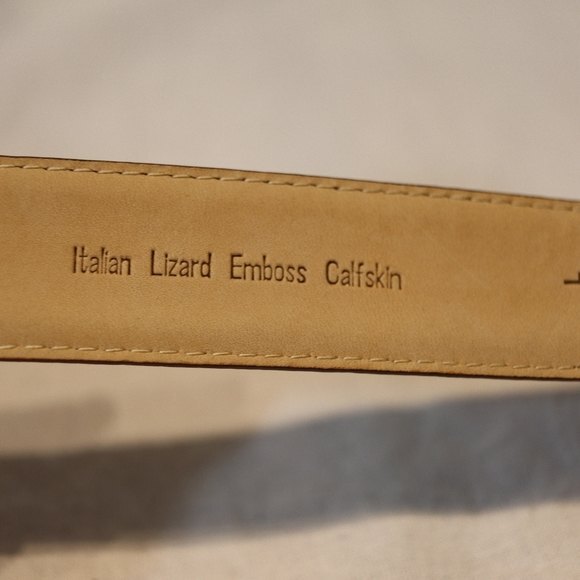 Arden Leather Lizard Embossed Calfskin Belt Brown, Silver hardware size Large - Picture 7 of 16